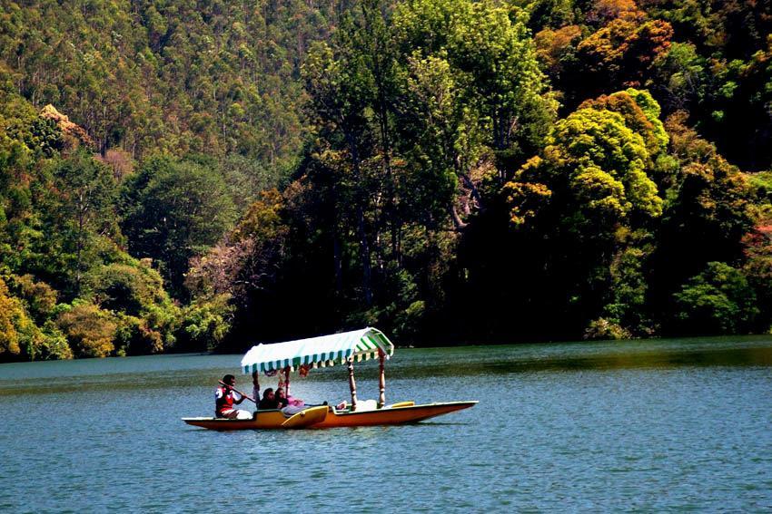 Munnar Dreams Hotell Eksteriør bilde