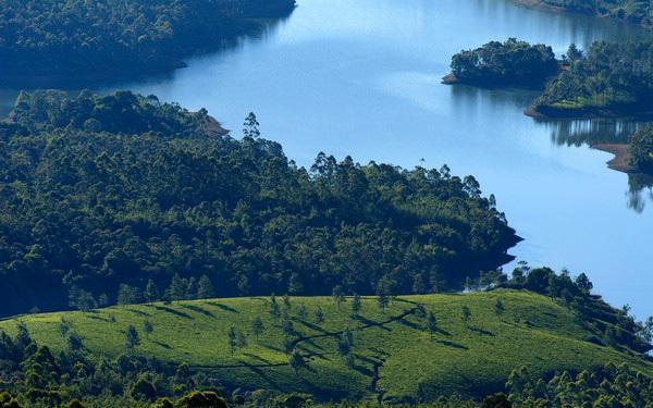 Munnar Dreams Hotell Eksteriør bilde